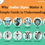 Why Zodiac Signs Matter A Simple Guide to Understanding